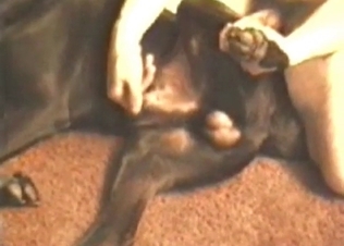 This doggy is looking okay for bestiality