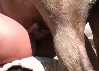 Watch her swallowing animal sperm