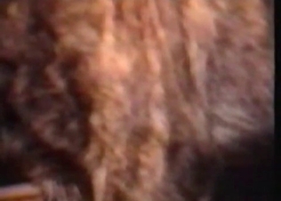 Gorgeous bestiality threesome