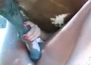 Zoophile is swallowing some animal sperm