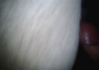 Zoo sex with a big pussy white mare: all in POV