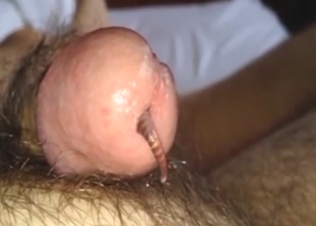 Dude has a worm making his hard dick twitch